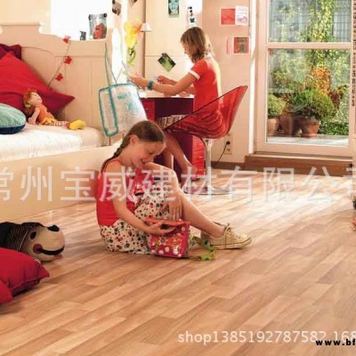 廠家直銷 pvc地板 塑膠地板 石塑地板 塑料地板革 木紋幼兒園地板