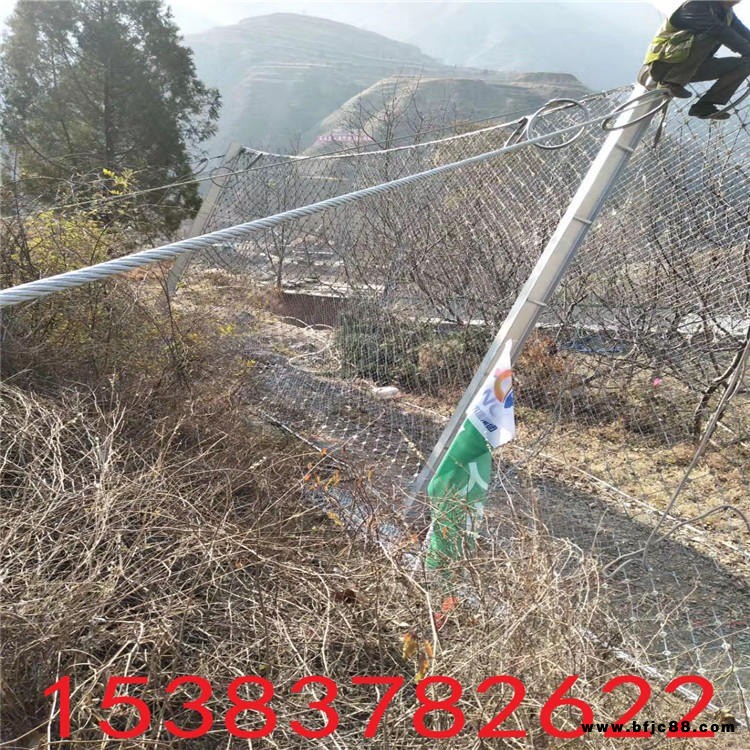安平邊坡網 高邊坡防墜網 鋼絲網欄邊坡網 邊坡護綠網 邊坡防護柔形網 邊坡網鋼絲廠家直銷
