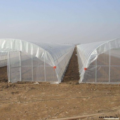 農業鋼架大棚  草莓西瓜葡萄種植大棚搭建 汕頭免焊接鋼管棚子