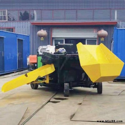 一次成型 路邊石滑膜機(jī) 路沿石成型機(jī) 隔離帶滑膜機(jī)