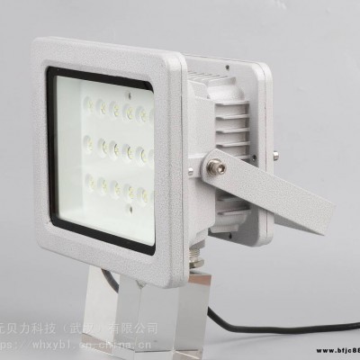 防爆燈10W-防爆燈20W-防爆燈30W-支架式應急燈100W