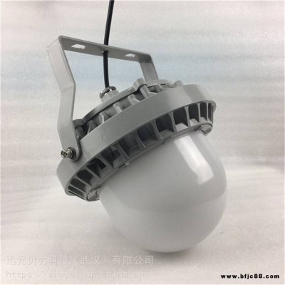 ZGD207-30W防爆泛光燈ZGD207-50W防眩平臺燈ZGD207-80W吊桿式防爆燈