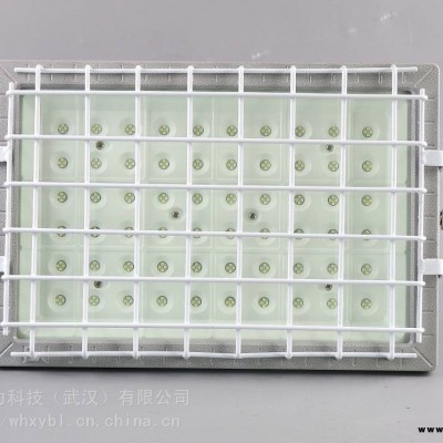 ZL8926-ZL8926-200W防爆路燈頭-防爆燈支架式
