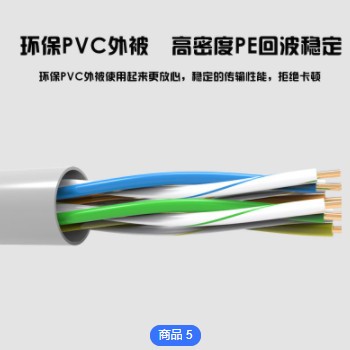勝牌六類SFTP雙屏蔽CAT6帶十字架純銅編織無氧銅千兆網(wǎng)線