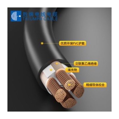 勝牌YJV電力電纜護(hù)套線2芯1.5 2.5 4 6 10 16 70平方純銅電源線