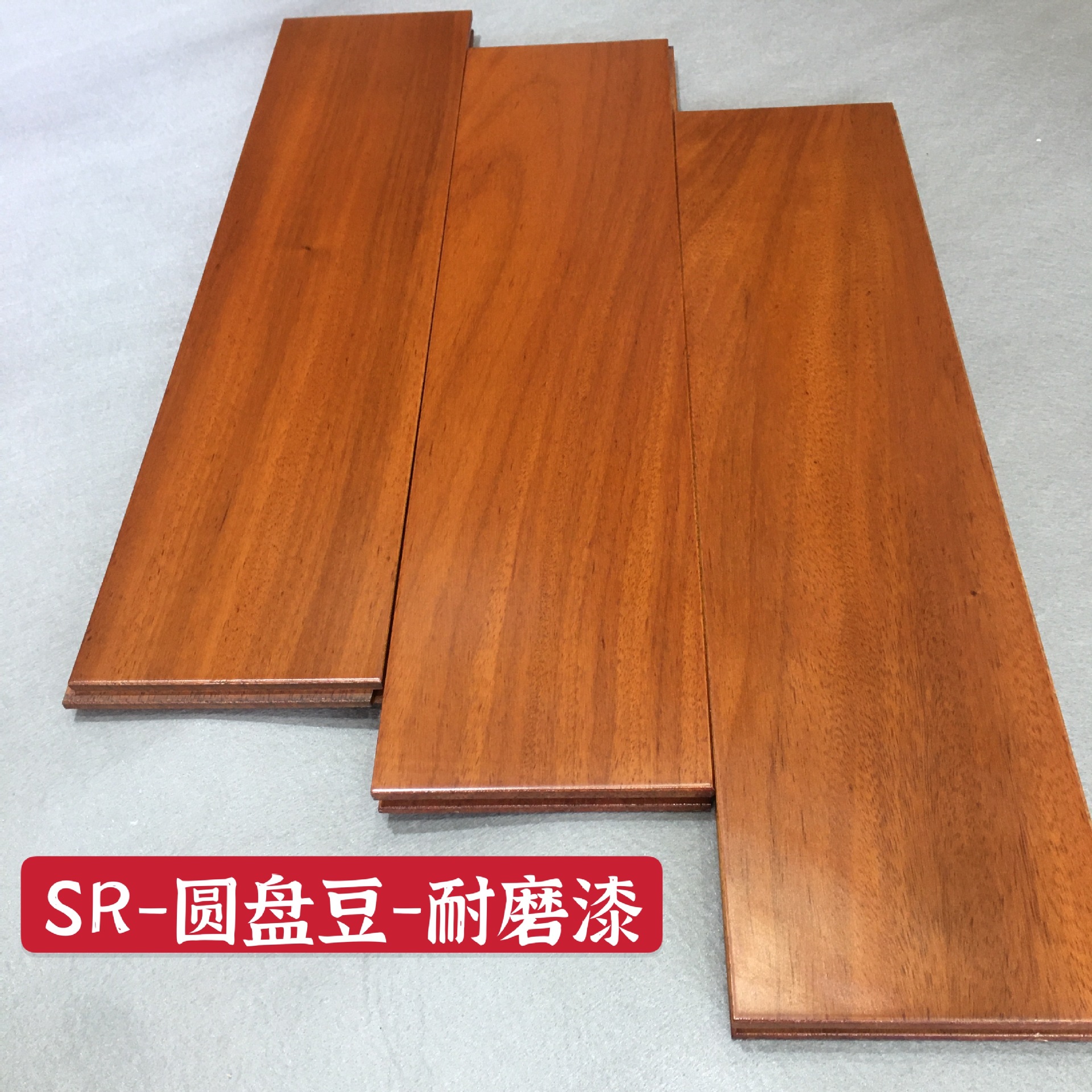 圓盤豆1