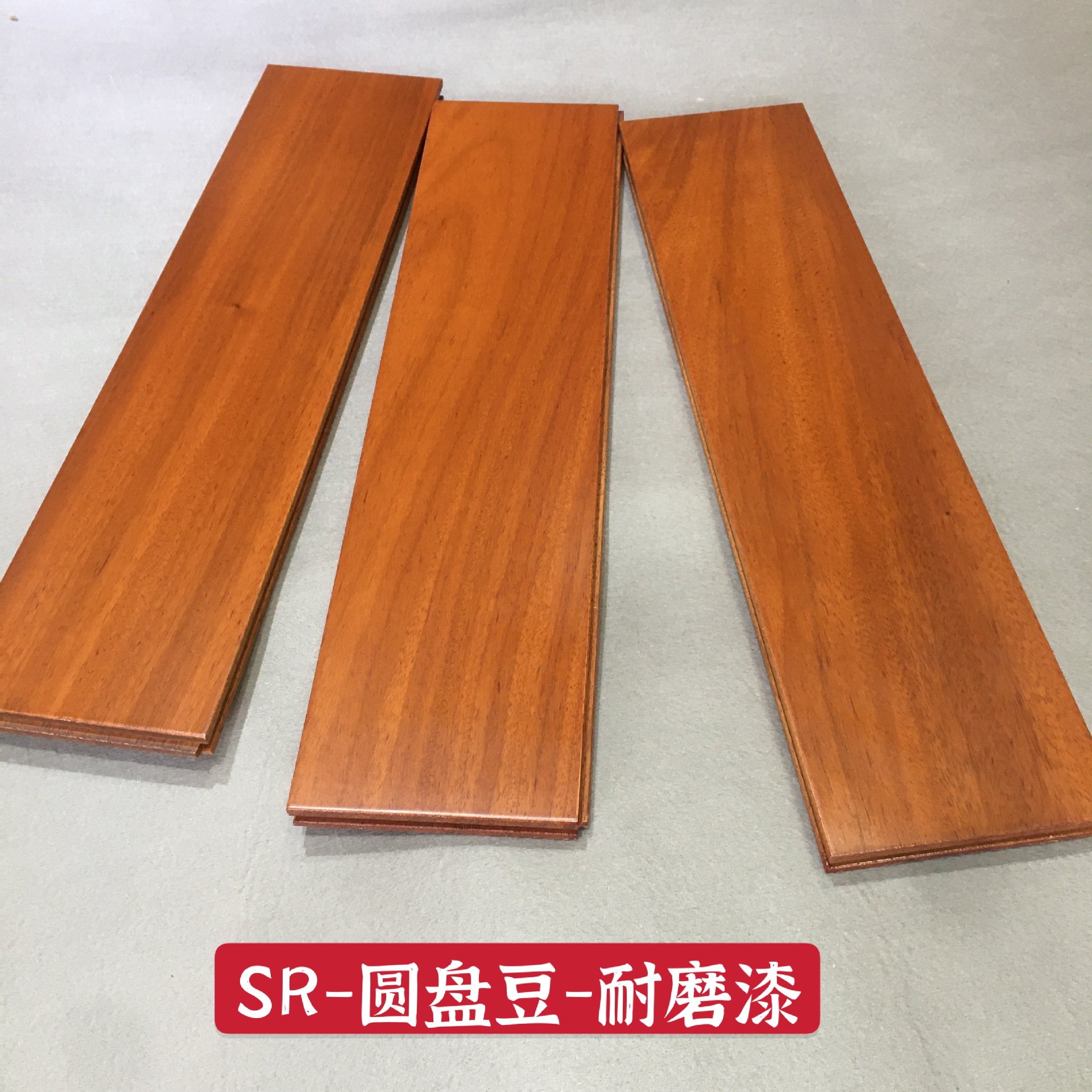 圓盤豆2
