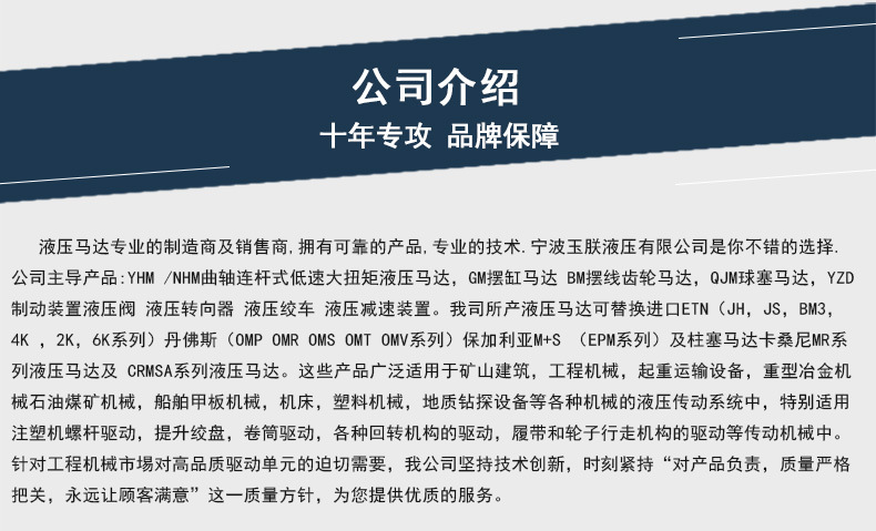 馬達系列注塑機熔膠馬達 挖掘機注塑機熔膠油馬達示例圖8