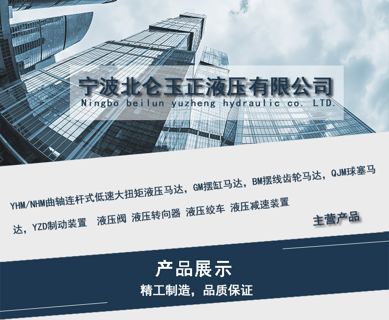 馬達系列注塑機熔膠馬達 挖掘機注塑機熔膠油馬達示例圖1