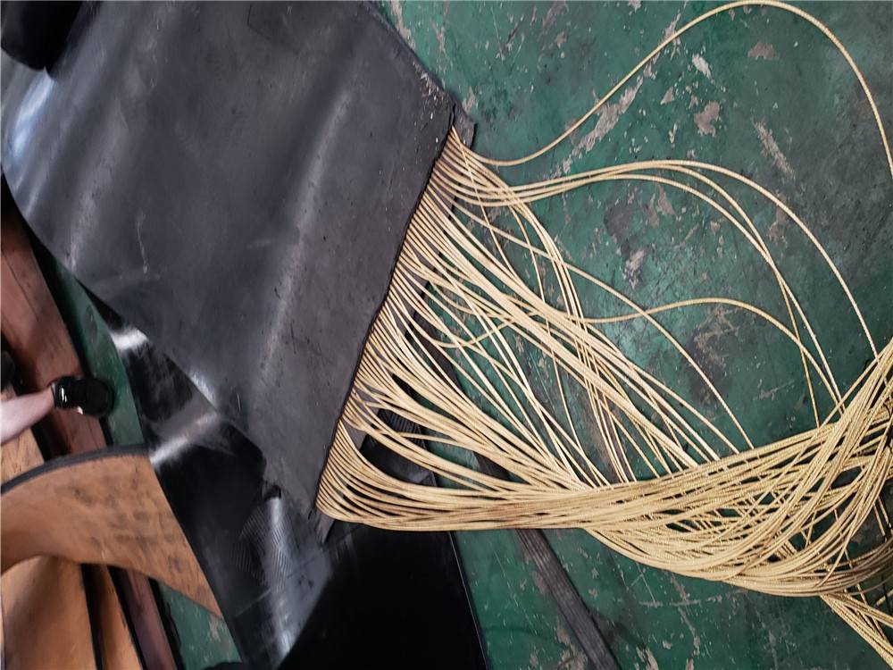 水泥斗提機鋼絲皮帶,耐高溫鋼絲繩提升帶價格,青島宗澤工業(yè)科技