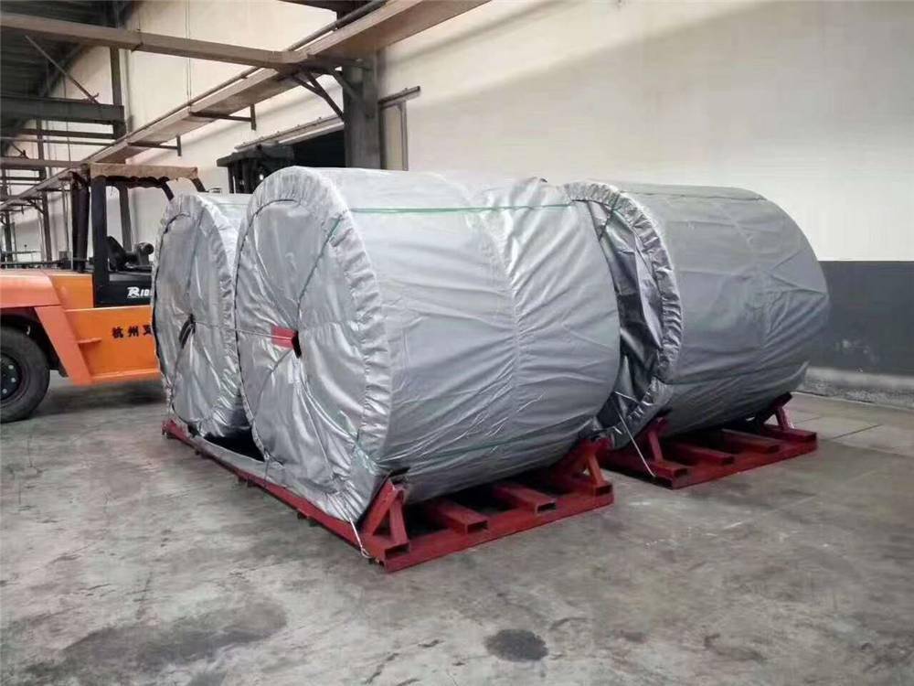 水泥斗提機鋼絲皮帶,耐高溫鋼絲繩提升帶價格,青島宗澤工業(yè)科技
