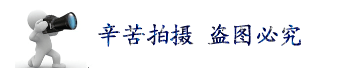 經(jīng)銷批發(fā) q235b鋼板 熱軋鋼板 建筑裝修專用板材示例圖2