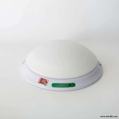上海市金一鳴消防應(yīng)急燈具 消防應(yīng)急燈 消防器材 應(yīng)急照明燈 應(yīng)急燈廠家