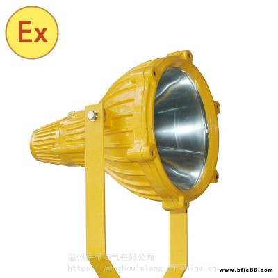 BTC8210生產廠家BTC8210-J250BTC8210-J400防爆投光燈