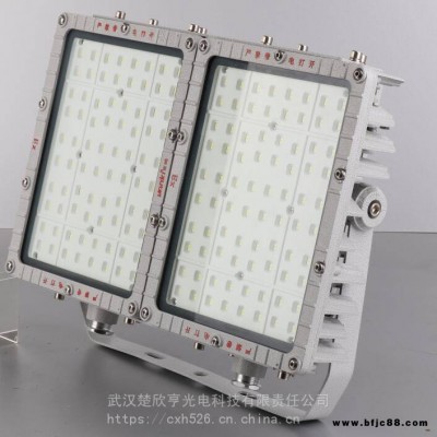 華榮LED防爆投光燈120W白光5000KRLEEXL5330-XL120A1