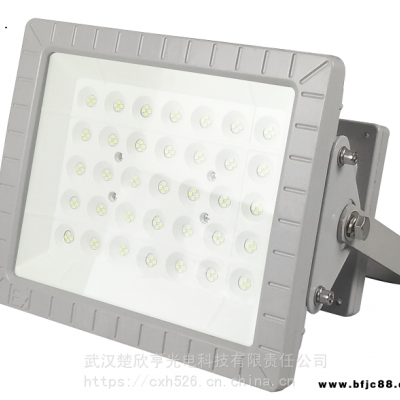 工業(yè)廢水廠LED防爆燈70WLED防爆投光燈100WLED防爆燈150W