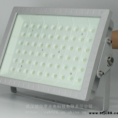 LNG加氣站LED防爆燈150WLED防爆投光燈100W70WLED防爆應(yīng)急燈