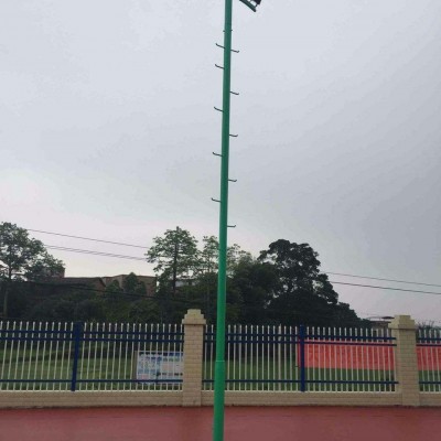 廣西南寧市馬山 30瓦路燈桿 XZJ南寧景觀燈 稱心的