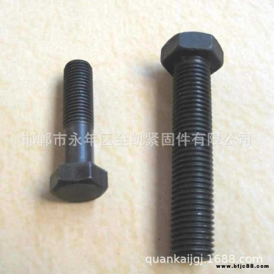 永年廠家供應(yīng)鐵塔螺栓電力螺栓高強(qiáng)度緊固件現(xiàn)貨供應(yīng)實(shí)惠