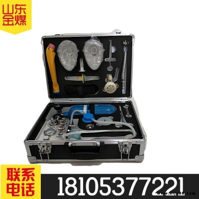 自動蘇生器 自動蘇生器廠家 便攜式自動蘇生器 MZS30礦用自動蘇生器