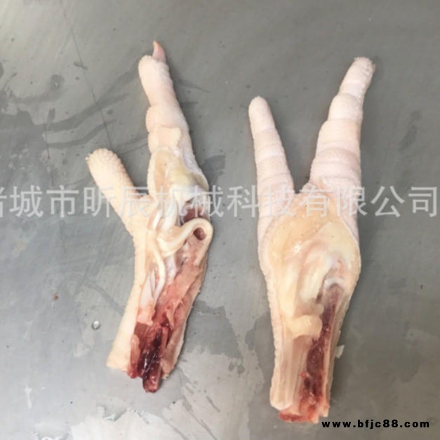 雞爪雞腳切割機(jī) 鳳爪鳳腳切段機(jī) 泡椒鳳爪切割機(jī) 雞爪切段機(jī)