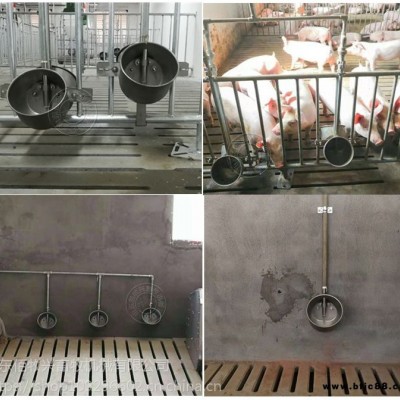 新型不銹鋼環保水碗廠家小豬自動飲水碗豬水嘴
