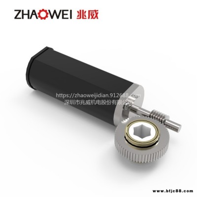 兆威供應 直流推桿升降電機 大力矩微型渦輪蝸桿減速箱過載保護微電機帶剎車 適用汽車零件電機