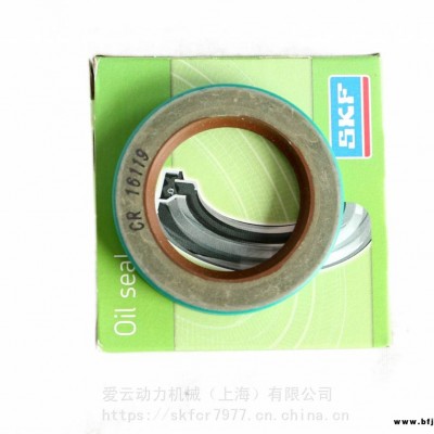 瑞典SKF斯凱孚外鐵殼密封件美國CR29877