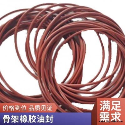 星舟DKB橡膠油封防塵圈 沃爾頂鐵殼防塵密封件橡膠油封進(jìn)口油封