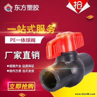 廠家直銷 瑞光牌 廠家直銷 瑞光牌 HDPE雙活接球閥  PE焊接球閥 PE熱熔球閥 PE管件球閥 價格優惠 規格齊全