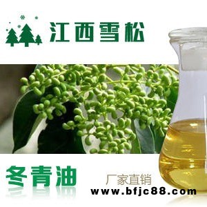 冬青油 江西雪松天然植物提取冬青油 現貨供應