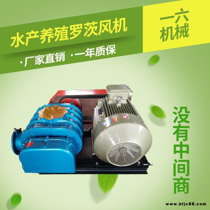一六OSR125B特殊氣體羅茨鼓風機    特殊氣體羅茨鼓風機