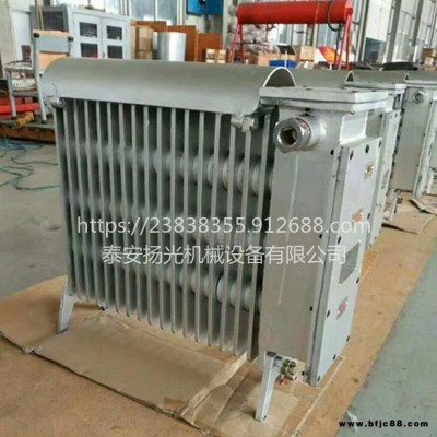 揚光RB-2000/127(A)煤礦用防爆電熱取暖器深入井下取暖更給力 rb2000礦用取暖器