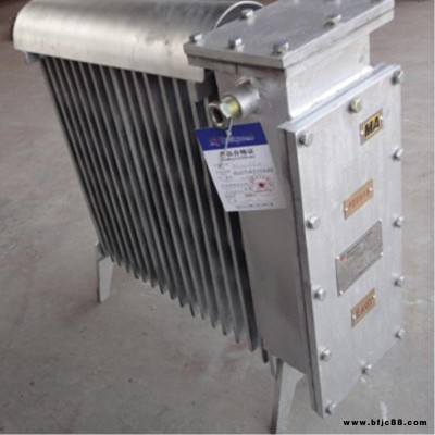 RB-2000/127A煤礦用增安型電熱取暖器