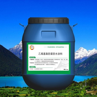 LM乙烯基酯防腐涂料 金虹盾 乙烯基酯復(fù)合防腐防水涂 丙乙烯酸酯防腐涂料