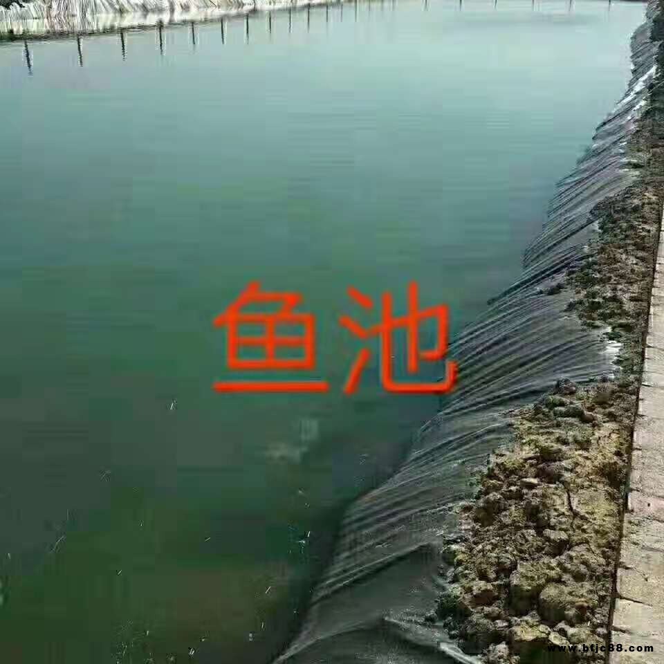 魚塘防滲膜HDPE加厚黑色土工膜防水布蝦魚池專用護坡養(yǎng)殖膜藕池膜