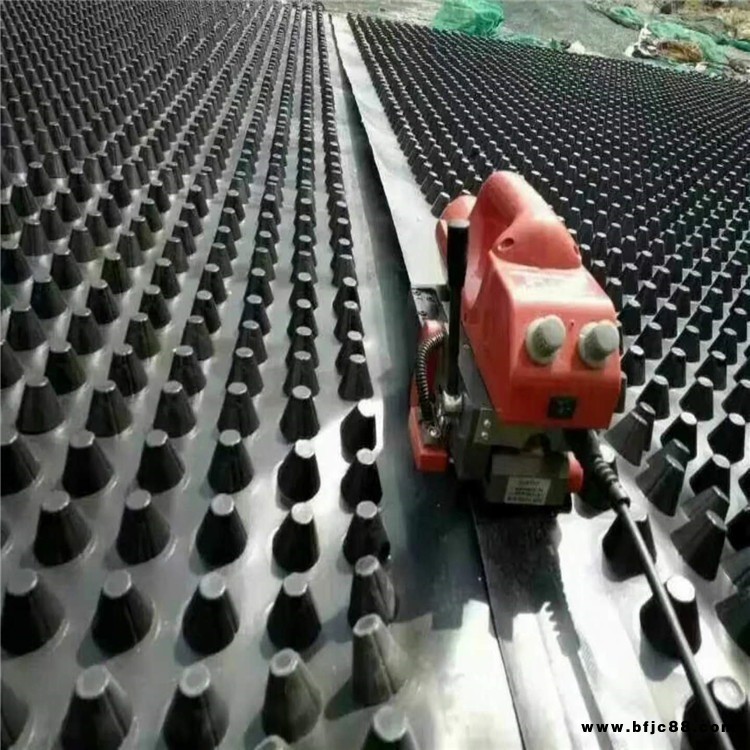 排水板綠化濾水加強蓄排水板HDPE黑色排水板地下室頂板塑料排水板德州潤澤廠家