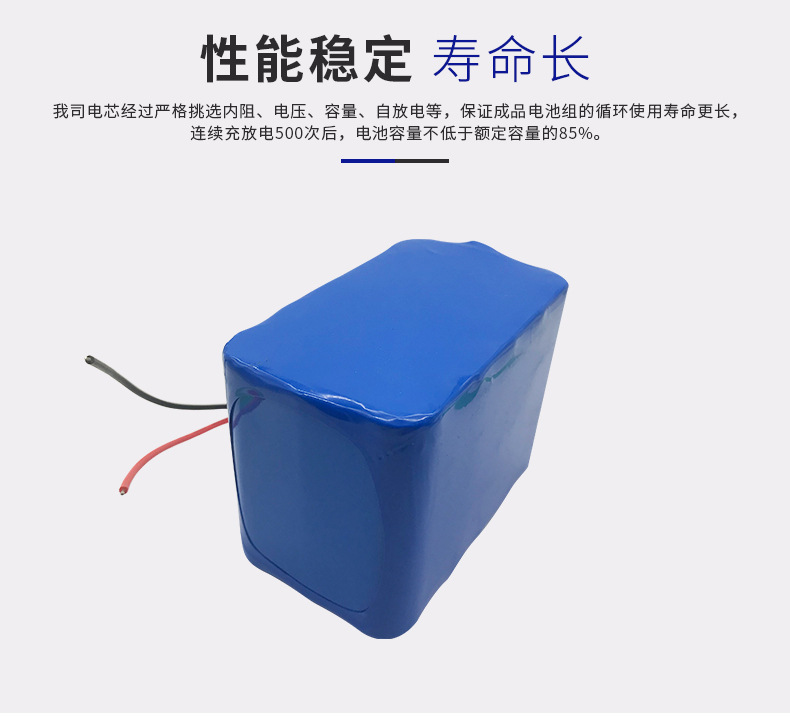 12V鋰電池組廠家定制 大容量10000mah噴霧器應急燈舞臺燈通用鋰電示例圖7