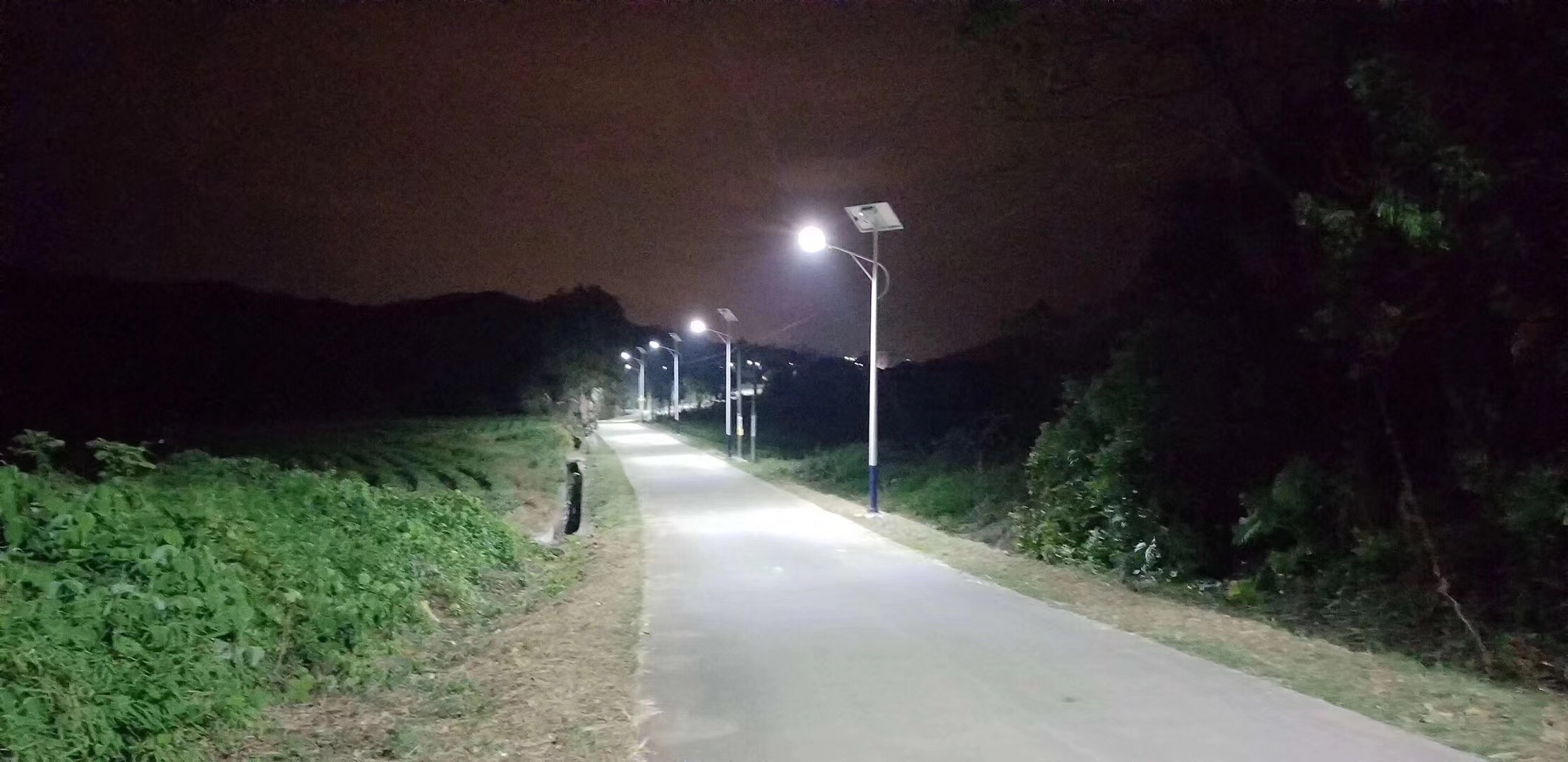 廣西南寧市隆安 20瓦路燈 景觀燈 報(bào)價(jià)合理的