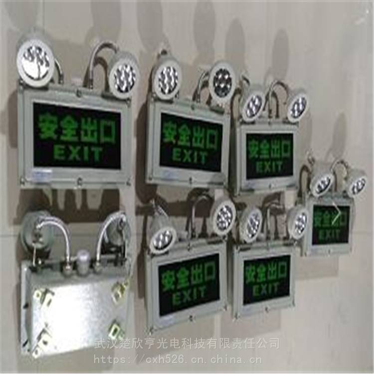 BJD320防爆雙頭應急燈 出口指示燈 出口指示燈