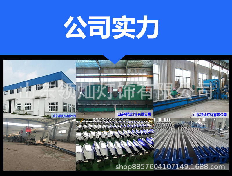 德州庭院燈廠家直銷小區(qū)道路專用3-5米LED多種燈頭可選景觀庭院燈示例圖2