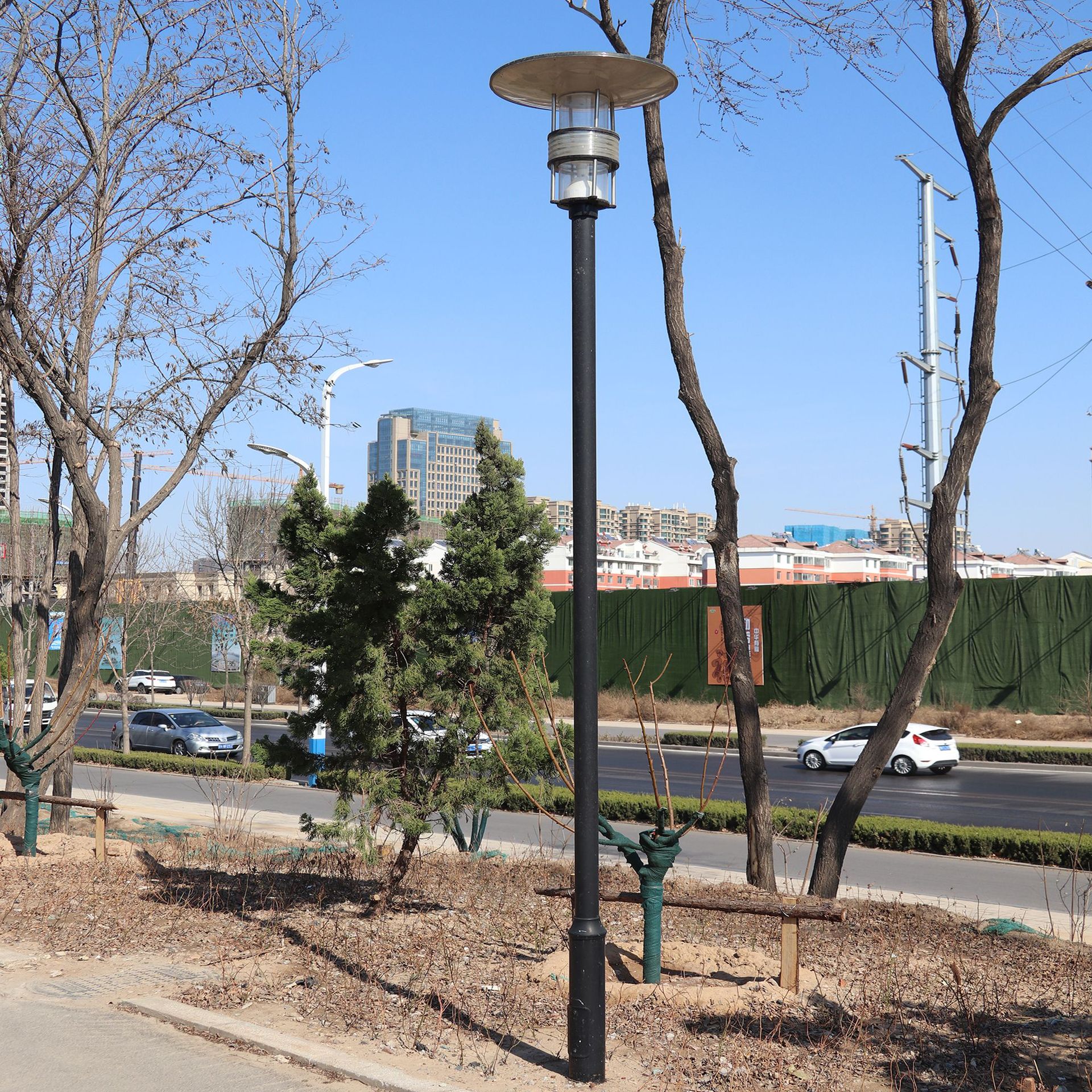 德州庭院燈廠家直銷小區(qū)道路專用3-5米LED多種燈頭可選景觀庭院燈示例圖3