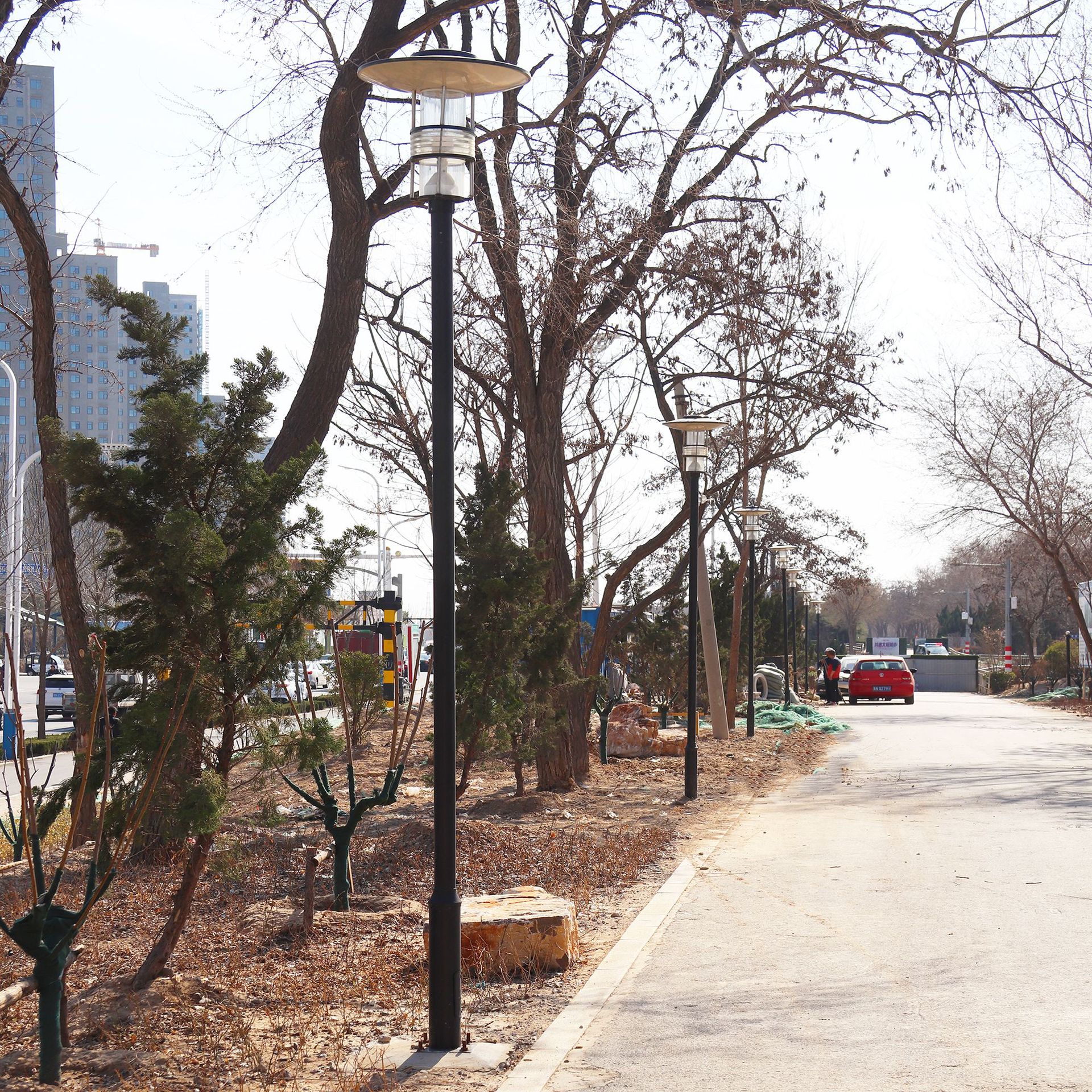 德州庭院燈廠家直銷小區(qū)道路專用3-5米LED多種燈頭可選景觀庭院燈示例圖4