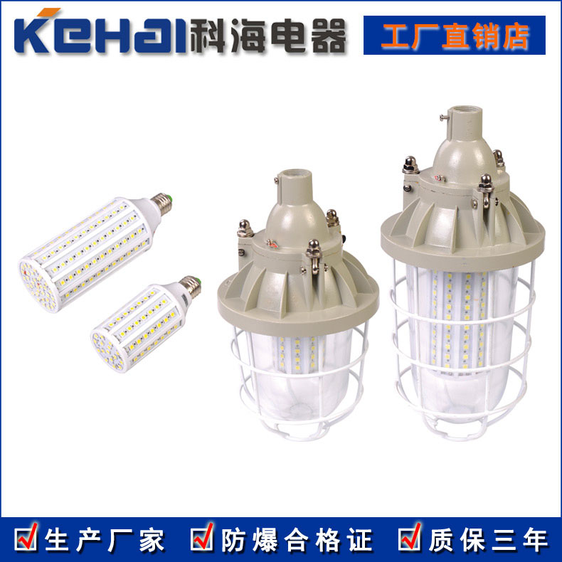 BED150系列LED防爆投光燈 100W示例圖4