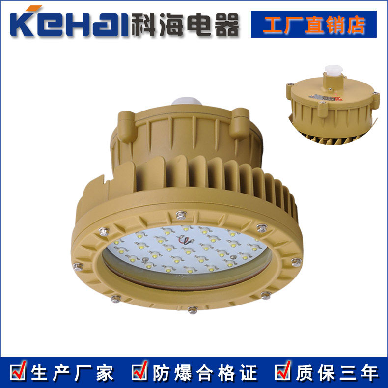 BED150系列LED防爆投光燈 100W示例圖2