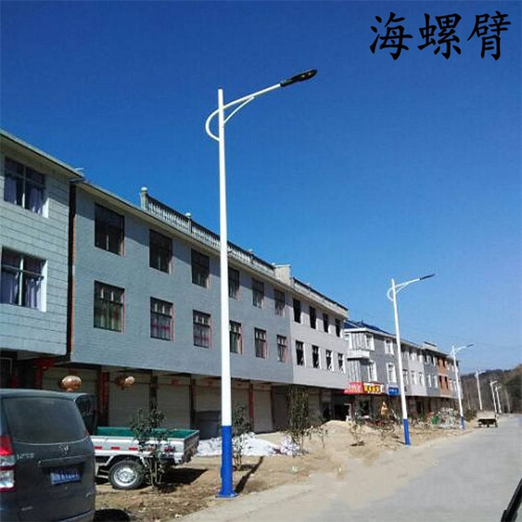 遼寧庭院燈星河路燈庭院燈價(jià)格太陽能庭院燈造型定制源頭工廠實(shí)力商家