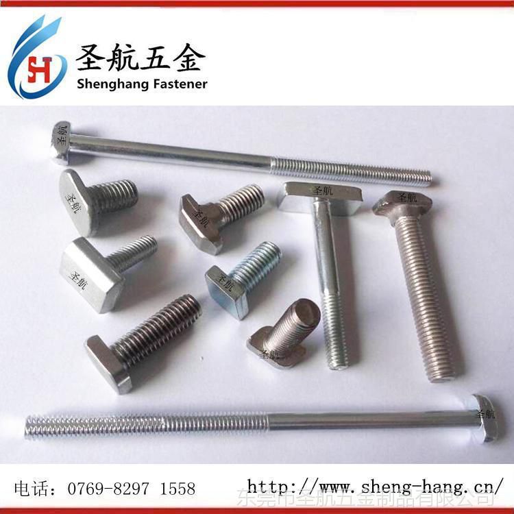 不銹鋼T型螺絲，緊固件，不銹鋼T型螺栓，五金，不銹鋼T型螺釘