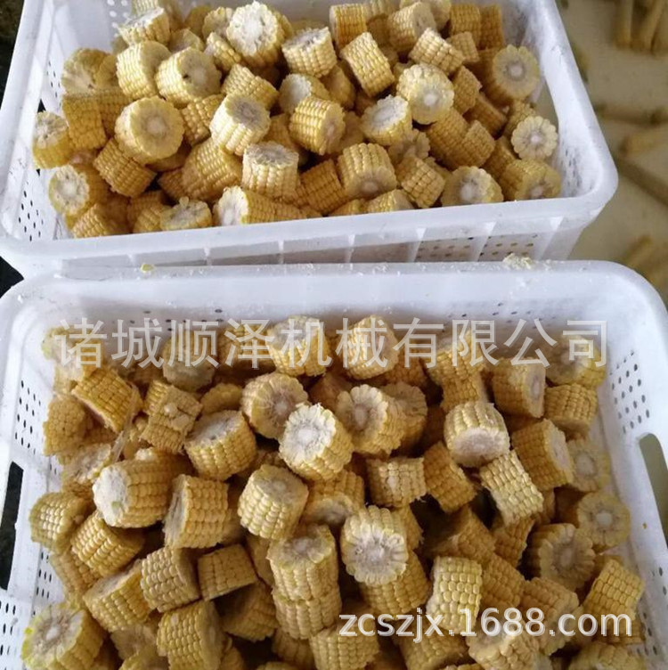 甜玉米棒切割機(jī) 速凍玉米棒切割機(jī) 鮮玉米切頭去尾機(jī) 順澤機(jī)械示例圖14