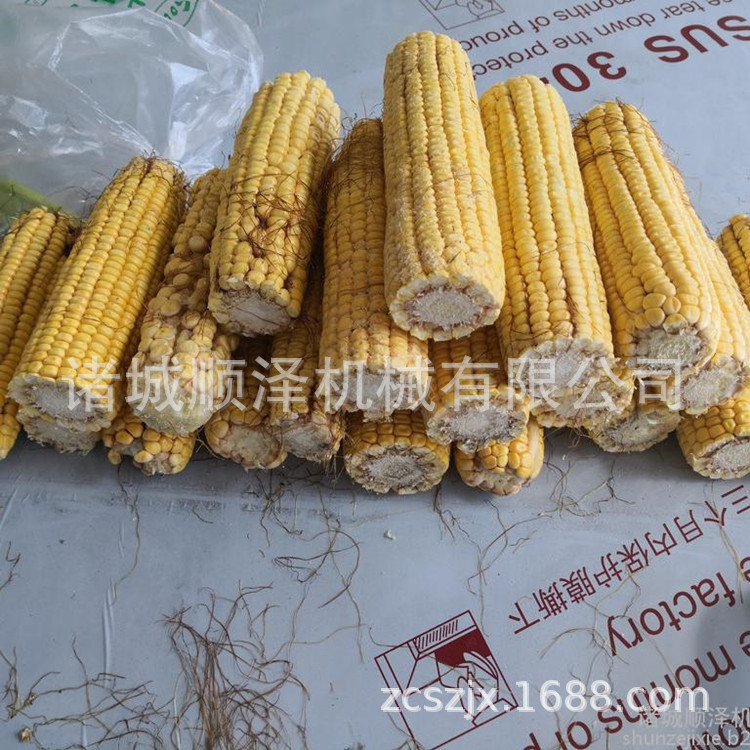 甜玉米棒切割機(jī) 速凍玉米棒切割機(jī) 鮮玉米切頭去尾機(jī) 順澤機(jī)械示例圖15