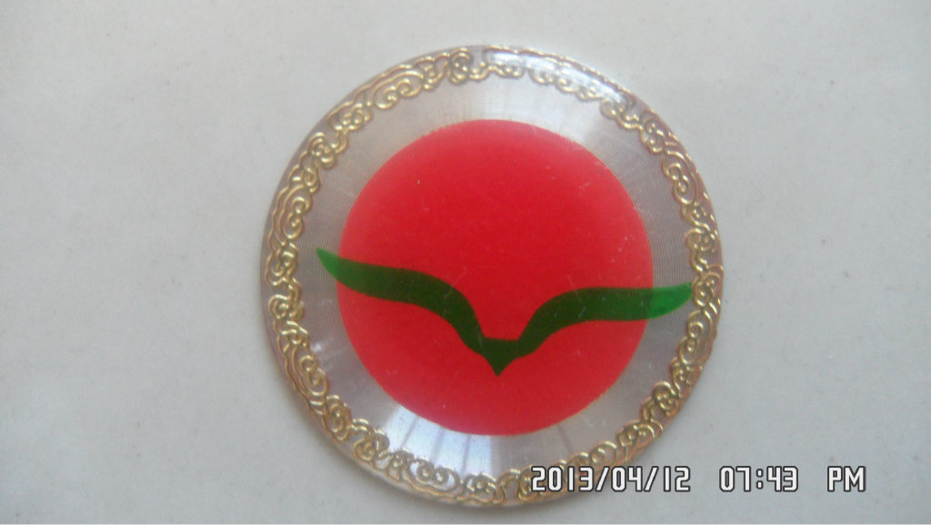 廠家定做金屬標(biāo)牌箱包五金標(biāo)牌鋅合金標(biāo)牌金屬logo牌壓鑄金屬標(biāo)牌示例圖25